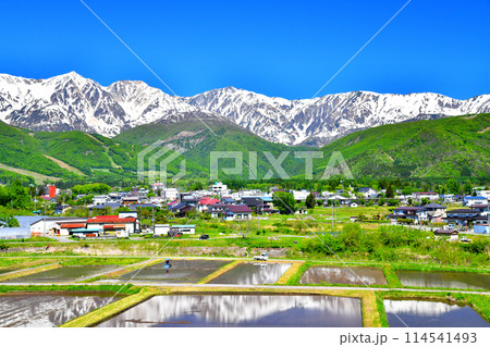 白馬三山方面を望む(長野県白馬村)【2024.5】 白馬三山方面を望む(長野県白馬村)【2024.5】 114541493