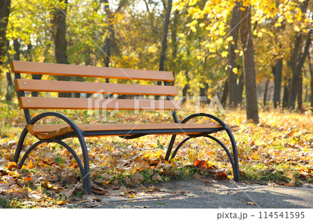 Empty wooden bench in the autumnal park 114541595