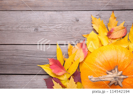 Orange pumpkin with leaves on a grey background. Orange pumpkin with leaves on a grey background. 114542194