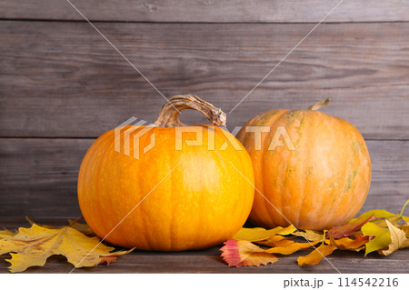 Orange pumpkins with leaves on a grey background. 114542216