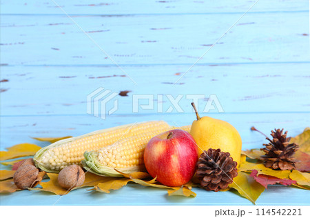 Autumn leaves with berries and vegetables on blue 114542221