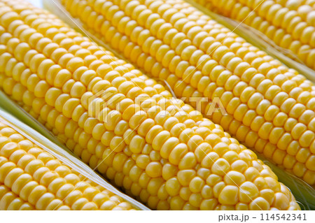 Photo of yellow corn background. Fresh corn. 114542341