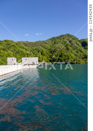初夏の八ッ場ダム　群馬県 114542439