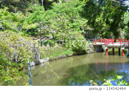 津　偕楽公園 114542464