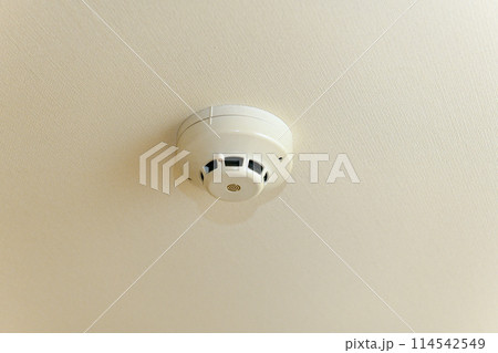 天井に取り付けられた火災報知器 天井に取り付けられた火災報知器 114542549