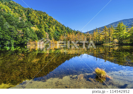 秋の上高地　紅葉が美しい明神池（明神一之池）の風景【長野県・松本市】 114542952