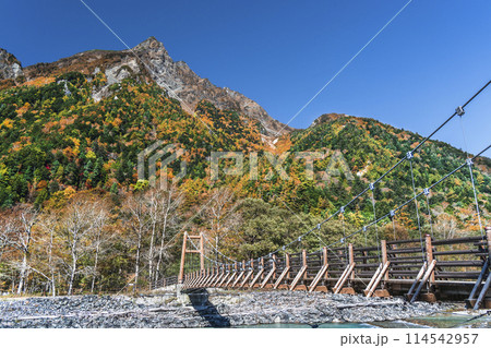 紅葉が美しい秋の上高地 明神岳と梓川に架かる明神橋【長野県・松本市】 紅葉が美しい秋の上高地 明神岳と梓川に架かる明神橋【長野県・松本市】 114542957