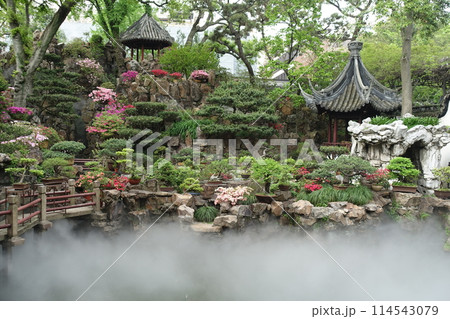 豫園の庭園 上海 中国 豫園の庭園 上海 中国 114543079
