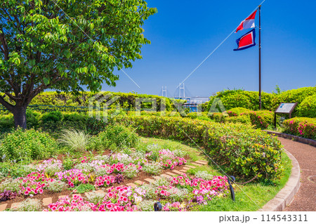 (神奈川県)港の見える丘公園・展望台の眺め (神奈川県)港の見える丘公園・展望台の眺め 114543311