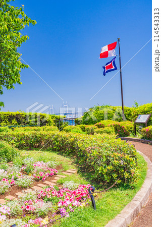 (神奈川県)港の見える丘公園・展望台の眺め (神奈川県)港の見える丘公園・展望台の眺め 114543313