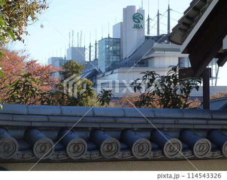 お寺から見える東京競馬場 お寺から見える東京競馬場 114543326