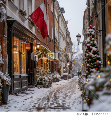 Experience the magic of Christmas in Brussels as the snow-covered streets come alive with festive cheer. 114543457