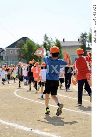 小学校の運動会　はねこ踊りを披露する生徒達 114543921
