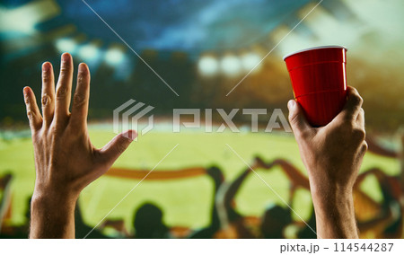 People, sport fans gathering at stadium to watch football competition, supporting team. Celebrating winning game and drinking beer People, sport fans gathering at stadium to watch football competition, supporting team. Celebrating winning game and drinking beer 114544287