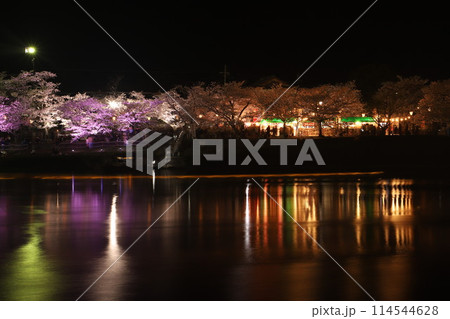 『錦帯橋と夜桜』夜サクラ 桜 ライトアップ 山口県岩国 #日本観光 Kintai Bridge 『錦帯橋と夜桜』夜サクラ 桜 ライトアップ 山口県岩国 #日本観光 Kintai Bridge 114544628