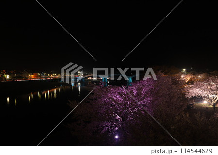 『錦帯橋と夜桜』夜サクラ 桜 ライトアップ 山口県岩国 #日本観光 Kintai Bridge 『錦帯橋と夜桜』夜サクラ 桜 ライトアップ 山口県岩国 #日本観光 Kintai Bridge 114544629