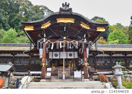 京都　松尾大社　本殿（京都府京都市西京区） 114544659