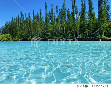 ニューカレドニア イルデパンの天然プール 海 波紋 114544741