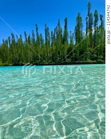 ニューカレドニア イルデパンの天然プール 海 波紋 114544742