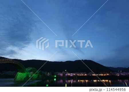 『錦帯橋と夜桜』桜 ライトアップ 山口県岩国 夜サクラ　 #日本観光　Kintai Bridge 　 114544956