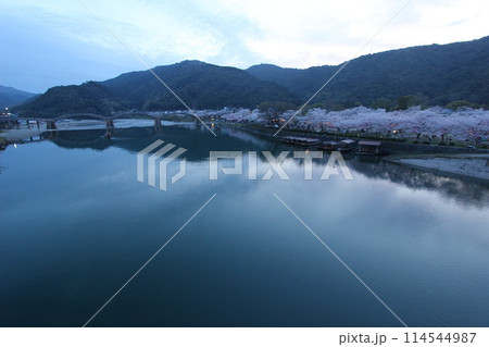 『錦帯橋と夜桜』桜 ライトアップ 山口県岩国 夜サクラ　 #日本観光　Kintai Bridge 　 114544987
