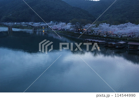 『錦帯橋と夜桜』桜 ライトアップ 山口県岩国 夜サクラ #日本観光 Kintai Bridge 『錦帯橋と夜桜』桜 ライトアップ 山口県岩国 夜サクラ #日本観光 Kintai Bridge 114544990