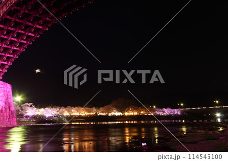『錦帯橋と夜桜』桜 ライトアップ 山口県岩国 夜サクラ #日本観光 Kintai Bridge 『錦帯橋と夜桜』桜 ライトアップ 山口県岩国 夜サクラ #日本観光 Kintai Bridge 114545100