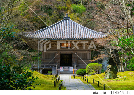 宮城県松島町 円通院 三慧殿 宮城県松島町 円通院 三慧殿 114545113