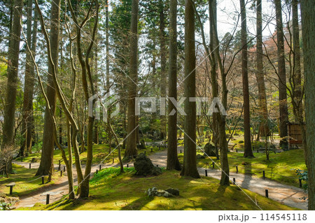 宮城県松島町 円通院 禅林瞑想の庭 宮城県松島町 円通院 禅林瞑想の庭 114545118