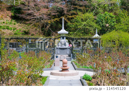 宮城県松島町 円通院 白華峰西洋の庭 宮城県松島町 円通院 白華峰西洋の庭 114545120