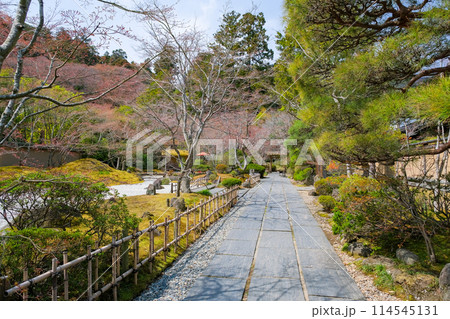 宮城県松島町 円通院 参道 宮城県松島町 円通院 参道 114545131