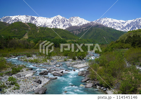 新緑の白馬大橋から眺めた風景 114545146