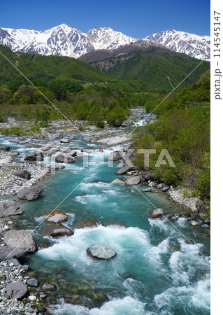 新緑の白馬大橋から眺めた風景 新緑の白馬大橋から眺めた風景 114545147
