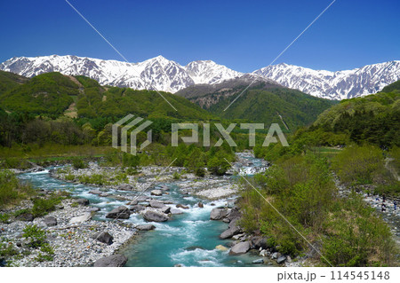 新緑の白馬大橋から眺めた風景 114545148