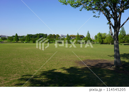 新横浜公園 草地広場 新横浜公園 草地広場 114545205