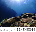 海中のサンゴ畑に降り注ぐ太陽の光 114545344