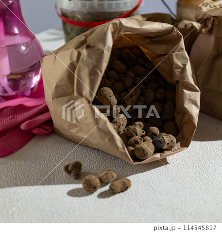A brown paper bag filled with rocks sits on a table 114545817