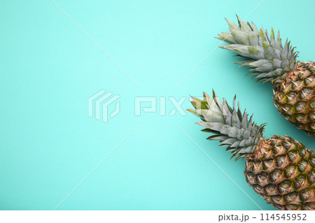 Two ripe pineapples on a mint background 114545952
