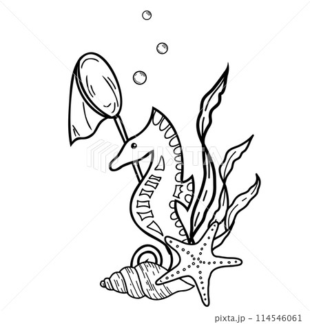 Marine Composition of cute Seahorse, Seaweeds, Starfish, Seashells and Fishing Net. Hand drawn Vector isolated illustration. Graphic summer Sea Sketch. 114546061
