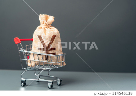 Shopping cart with big euro money bag. Extra income. Purchasing power of buyers. Trade and retail. Taxes. Consumer prices. Import of products. Win money for shopping. 114546139