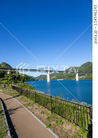 初夏の八ッ場あがつま湖　八ッ場林ふるさと公園より見る不動大橋 114546245