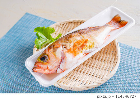 トレーに入ったメバル トレーに入ったメバル 114546727