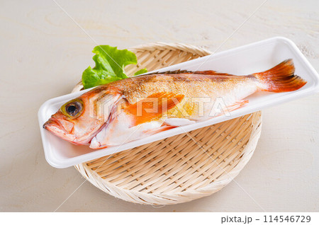 トレーに入ったメバル トレーに入ったメバル 114546729