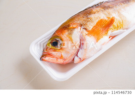 トレーに入ったメバル トレーに入ったメバル 114546730