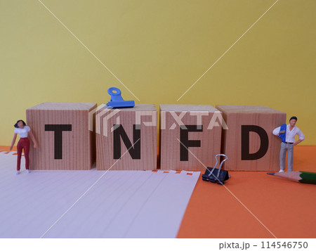 TNFDのアイキャッチ画像 TNFDのアイキャッチ画像 114546750