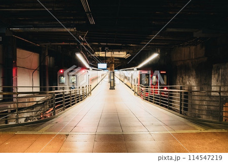ニューヨークの駅 114547219