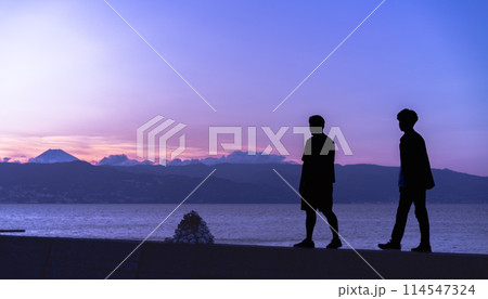 初島で夕暮れ時に海の向こうの富士山を見る人物 初島で夕暮れ時に海の向こうの富士山を見る人物 114547324