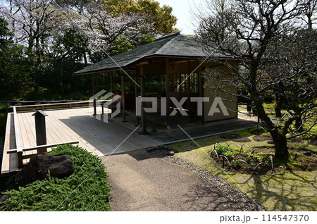 紅葉山庭園（駿府城公園）の四阿 114547370