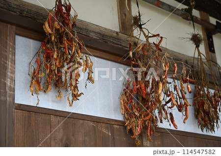 赤唐辛子 114547582