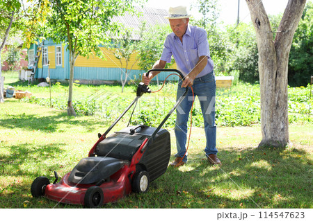 Cheerful mature man with lawnmower on a farm 114547623
